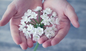 Blumen in der Hand